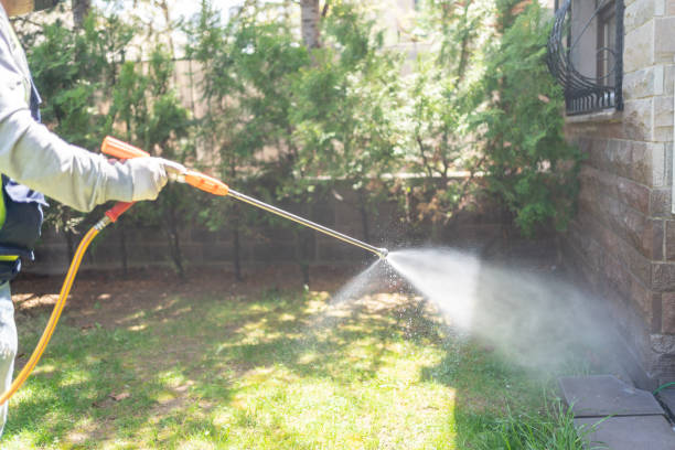 Best Ant Control Services  in Greenacres, FL