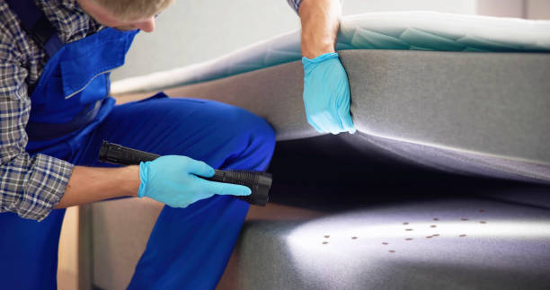 Best Cockroach Control Services  in Greenacres, FL