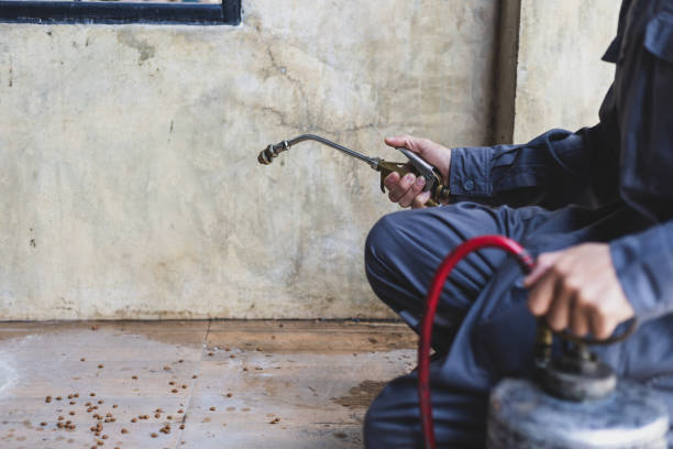 Best Termite Control Services  in Greenacres, FL