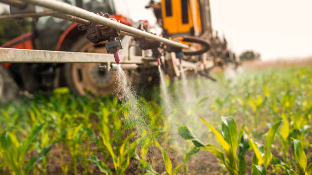 Reliable Greenacres, FL Pest Control Solutions
